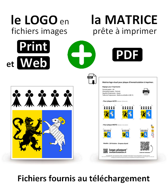 29 Finistère - Drapeau Ajusté