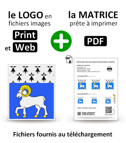 29 Quimper - Drapeau Ajusté