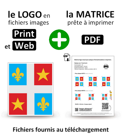 2B Corte - Drapeau Ajusté