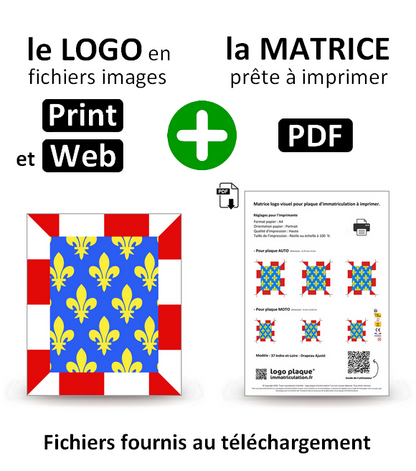 37 Indre-et-Loire - Drapeau Ajusté