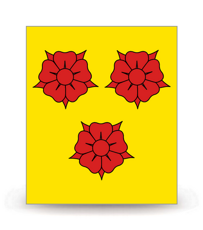 38 Grenoble - Drapeau Ajusté