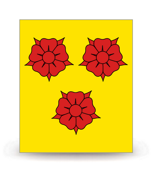 38 Grenoble - Drapeau Ajusté