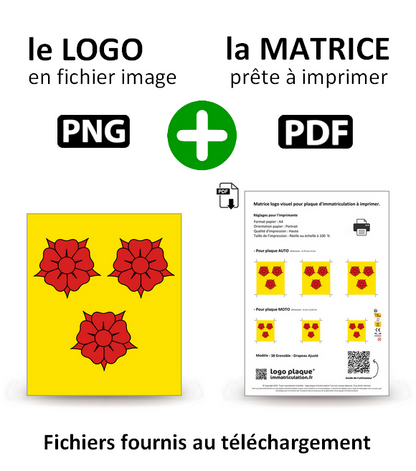 38 Grenoble - Drapeau Ajusté