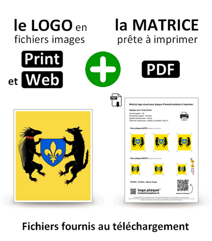 41 Blois - Blason Drapé