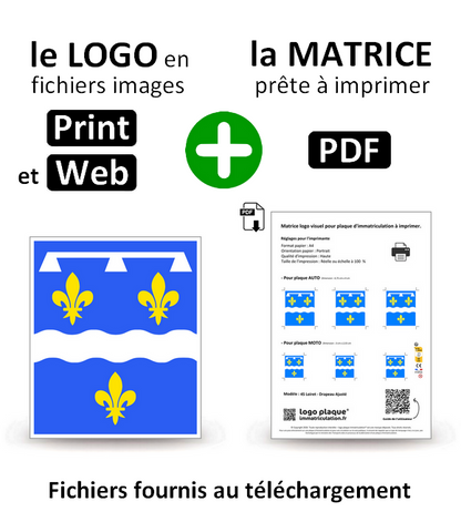 45 Loiret - Drapeau Ajusté