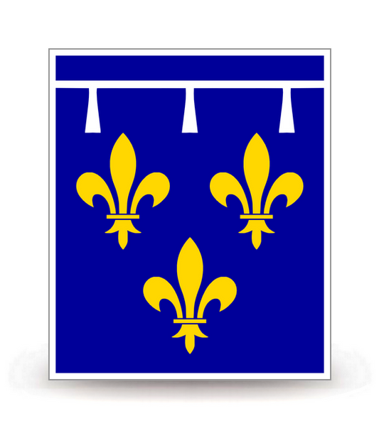 45 Orléans - Drapeau Ajusté - Autocollant plaque immatriculation®