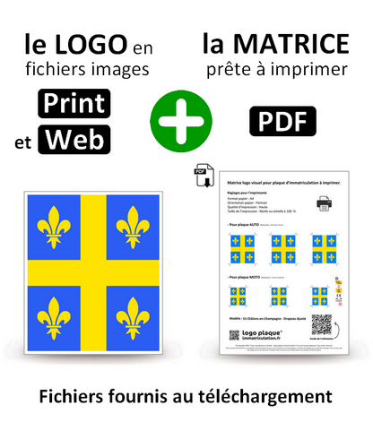 51 Châlons-en-Champagne - Drapeau Ajusté