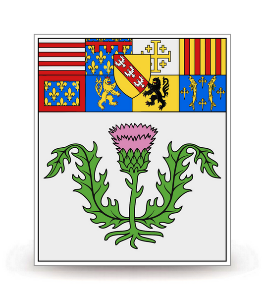 54 Nancy - Drapeau Ajusté - Autocollant plaque immatriculation®
