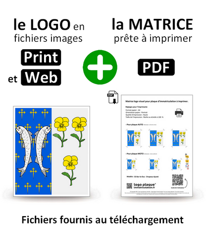 55 Bar-le-Duc - Drapeau Ajusté