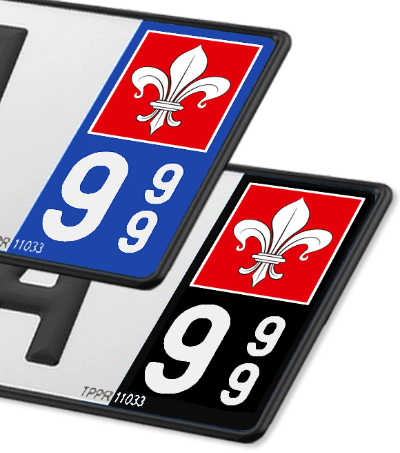 59 Lille - Drapeau Ajusté