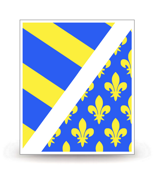 60 Oise - Drapeau Ajusté - Autocollant plaque immatriculation®