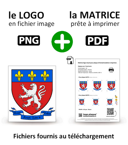 69 Lyon - Blason