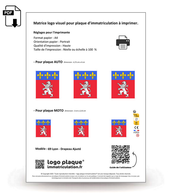 69 Lyon - Drapeau Ajusté