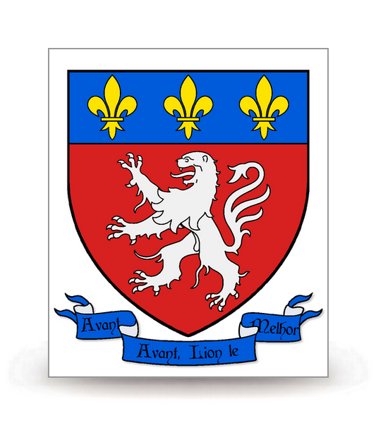 69 Lyon - Blason - Autocollant plaque immatriculation®