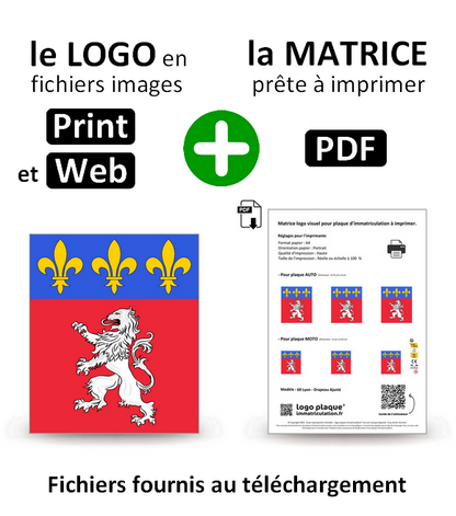 69 Lyon - Adjusted Flag