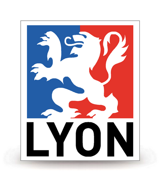 69 Lyon - Ville (2020) - Autocollant plaque immatriculation®