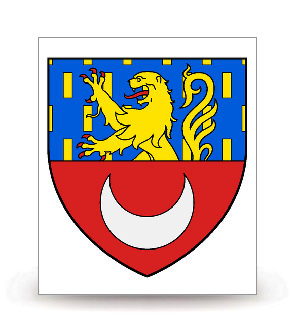 70 Vesoul - Blason - Autocollant plaque immatriculation®