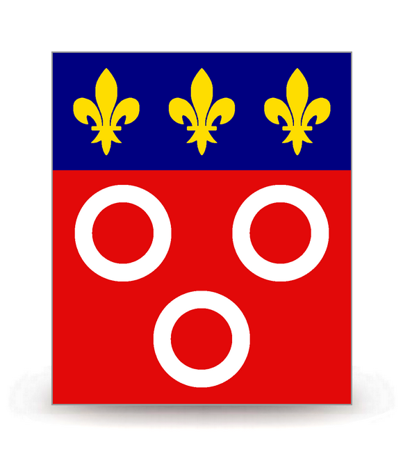 71 Mâcon - Drapeau Ajusté