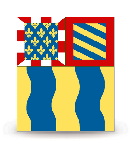 71 Saône-et-Loire - Drapeau Ajusté