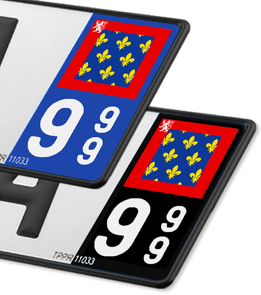 72 Sarthe  - Drapeau Ajusté