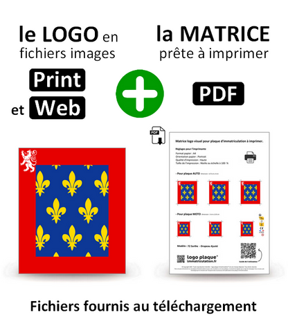 72 Sarthe  - Drapeau Ajusté