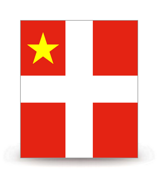 73 Chambéry - Drapeau Ajusté