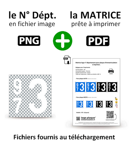 973 - Guyane