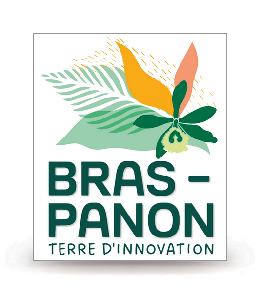 974 Bras-Panon - Ville 2025 - Autocollant plaque immatriculation®