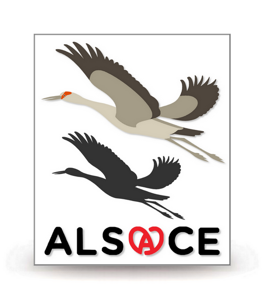 Alsace - Cigognes - Autocollant plaque immatriculation®