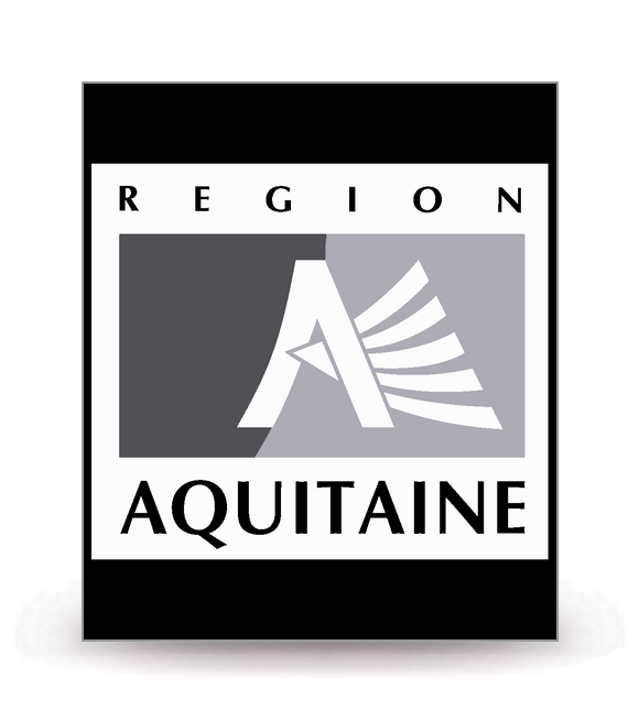 Aquitaine - LogoType 2009 BK-FN - Autocollant plaque immatriculation®
