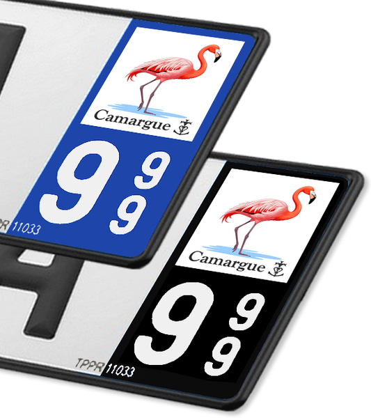 Camargue - Flamant Rose