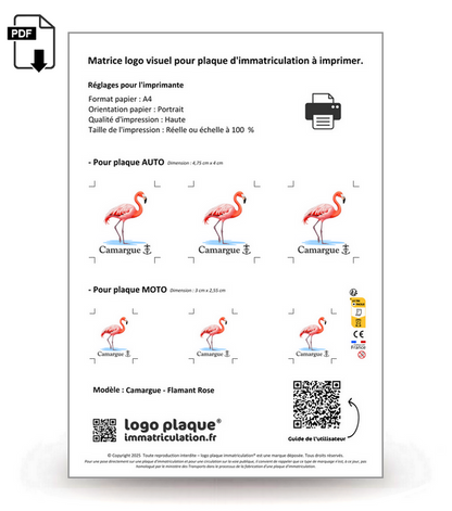 Camargue - Flamant Rose