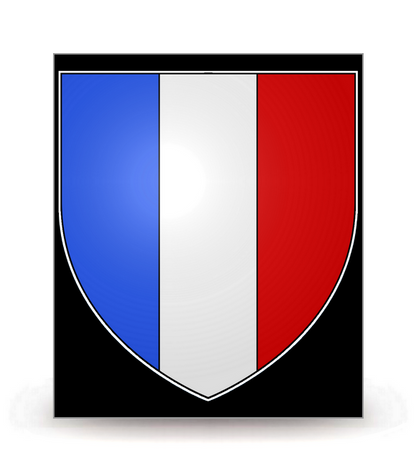 France - Blason FN - Autocollant plaque immatriculation®