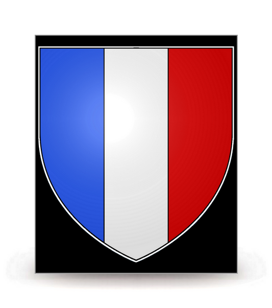 France - Blason G-FN - Autocollant plaque immatriculation®