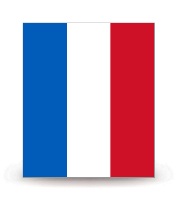 France - Drapeau Ajusté - Autocollant plaque immatriculation®