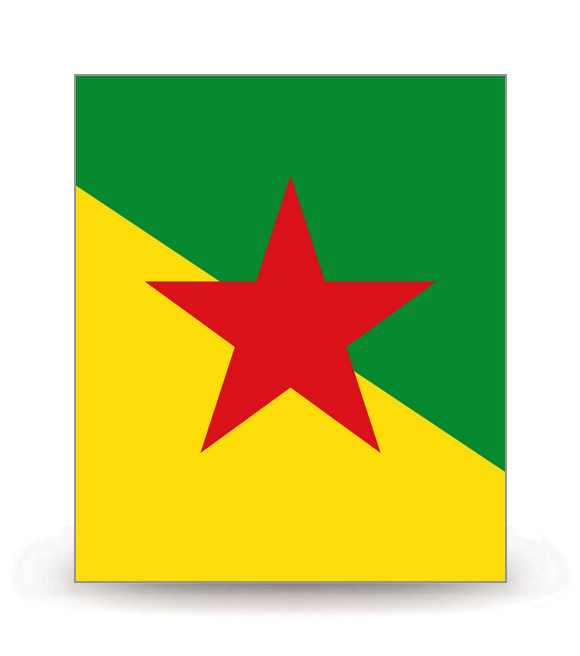 Guyane - Drapeau Ajusté - Autocollant plaque immatriculation®