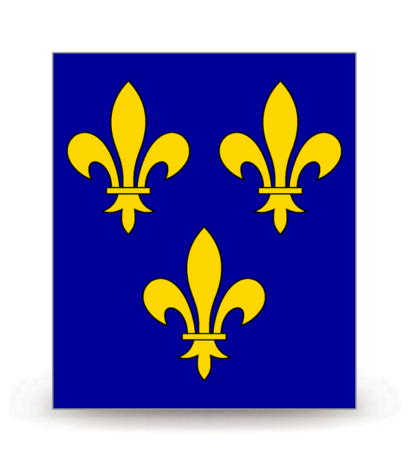 Ile-de-France - Drapeau Ajusté - Autocollant plaque immatriculation®
