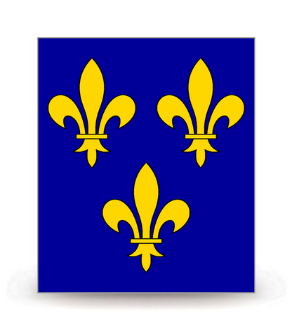 Ile-de-France - Drapeau Ajusté - Autocollant plaque immatriculation®