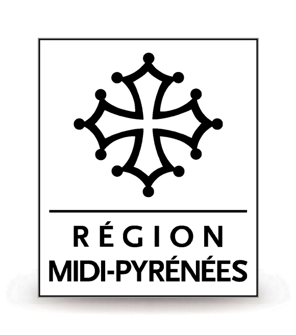 Midi-Pyrénées - LogoType 2009 BK - Autocollant plaque immatriculation®