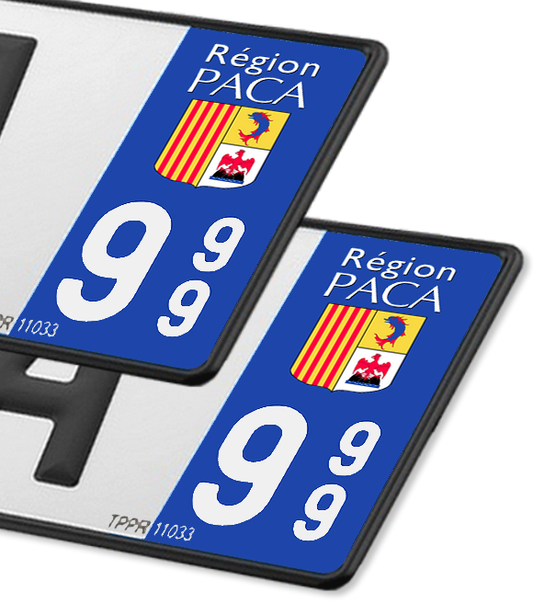 PACA - LogoType 2009