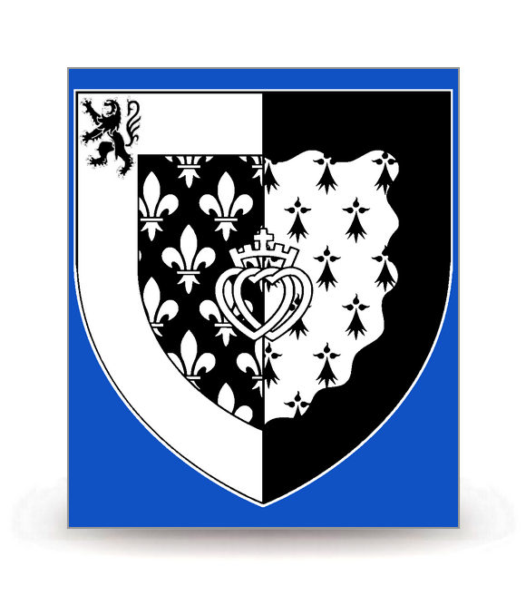 Pays de la Loire - Blason 2020 BK-FB - Autocollant plaque immatriculation®
