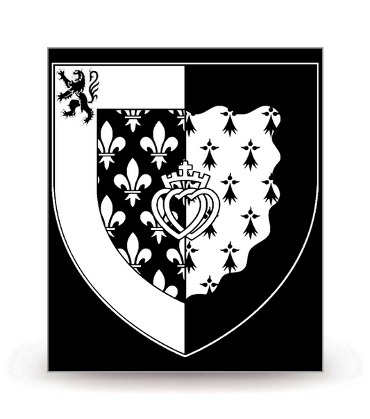 Pays de la Loire - Blason 2020 BK-FN - Autocollant plaque immatriculation®