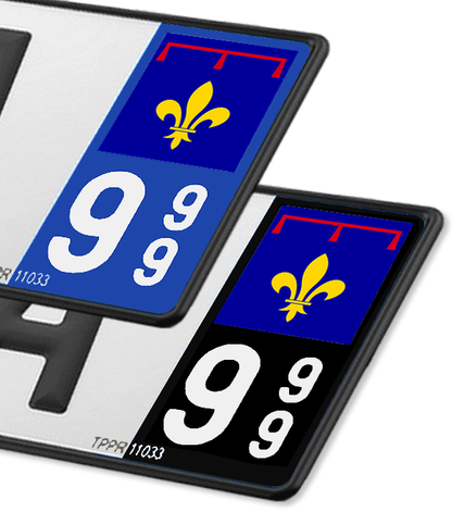 South Region - LogoType 2019