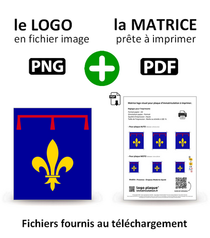 South Region - LogoType 2019