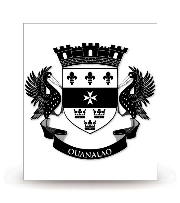 Saint-Barthélemy-Armoiries 2014-BK - Autocollant plaque immatriculation®