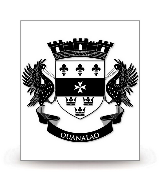 Saint-Barthélemy-Armoiries 2014-BK - Autocollant plaque immatriculation®