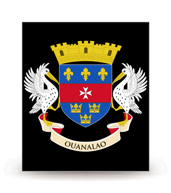 Saint-Barthélemy - Armoiries 2014 FN - Autocollant plaque immatriculation®