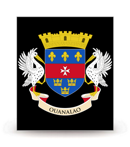 Saint-Barthélemy - Armoiries 2014 FN - Autocollant plaque immatriculation®