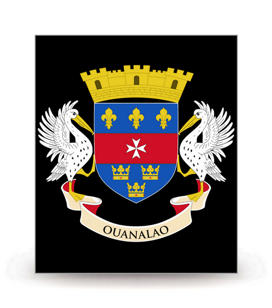 Saint-Barthélemy - Armoiries 2014 FN - Autocollant plaque immatriculation®