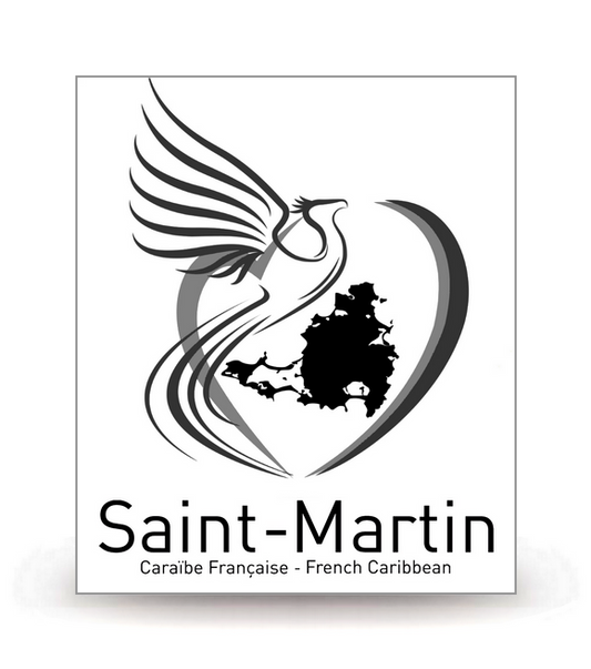 Saint-Martin - Collectivité 2023 BK - Autocollant plaque immatriculation®